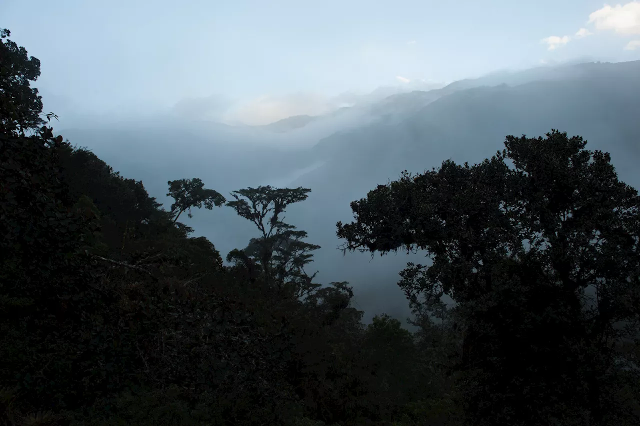 When in drought: Researchers map which parts of the Amazon are most vulnerable to climate change