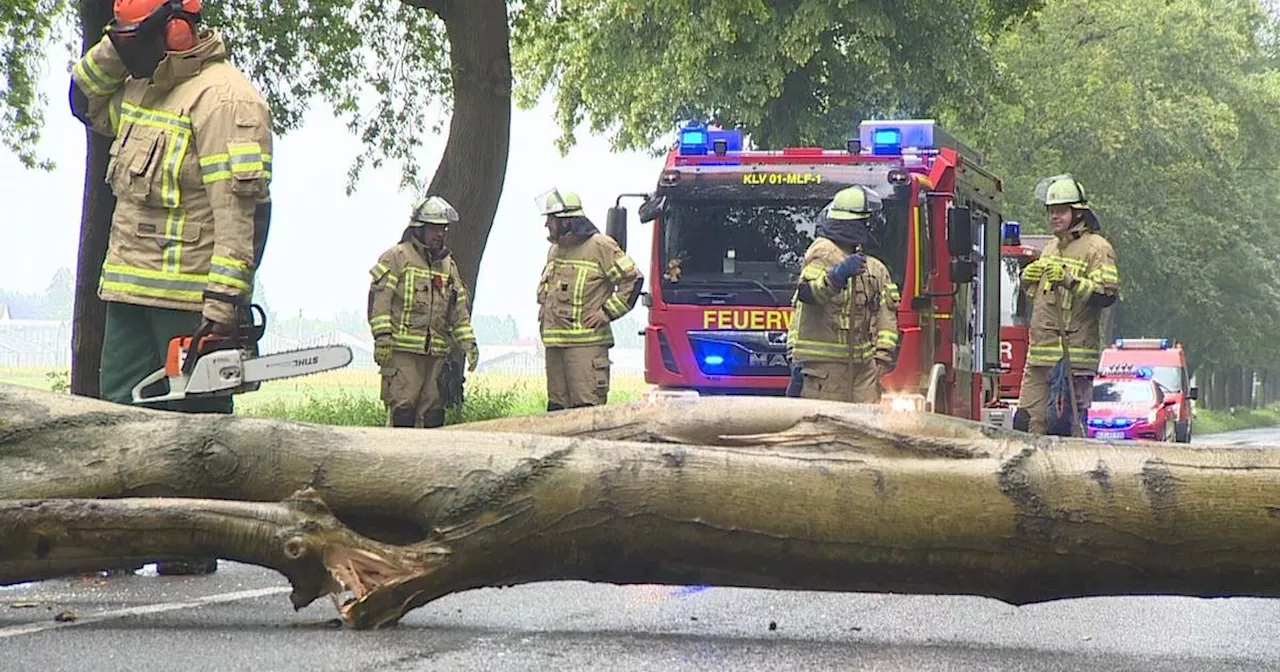 Diese Versicherungen zahlen bei Unwetterschäden​