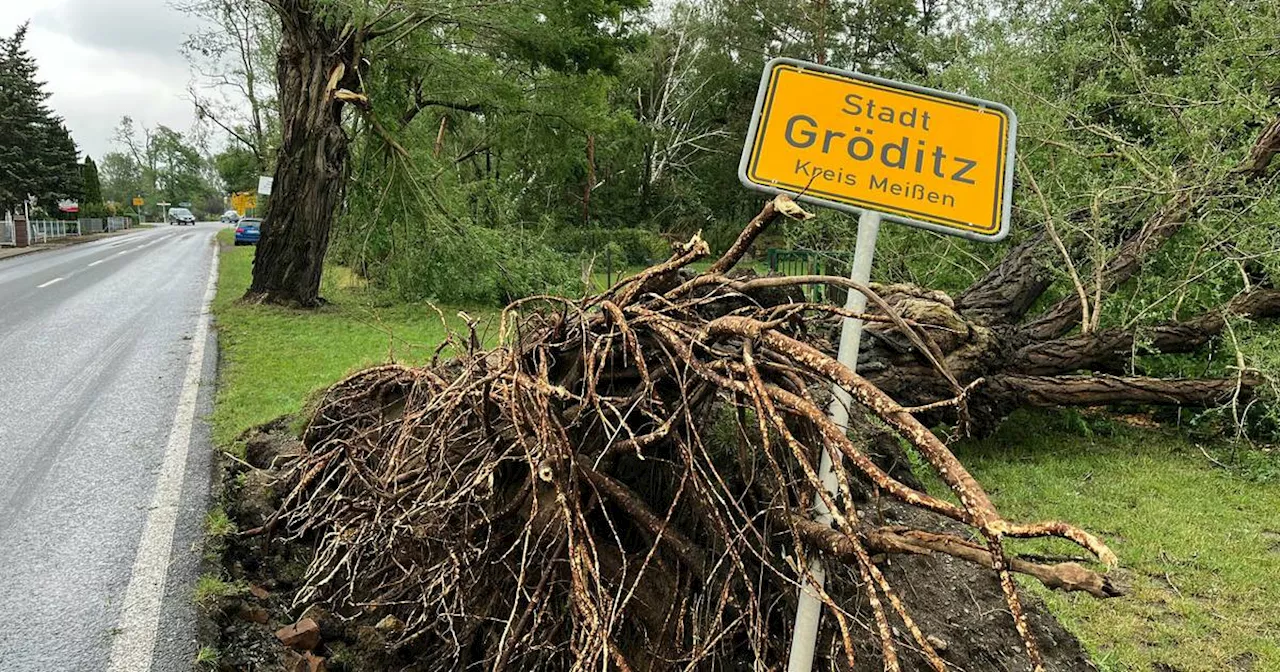 Möglicherweise Tornado in Gröditz - Drohne findet Schneise