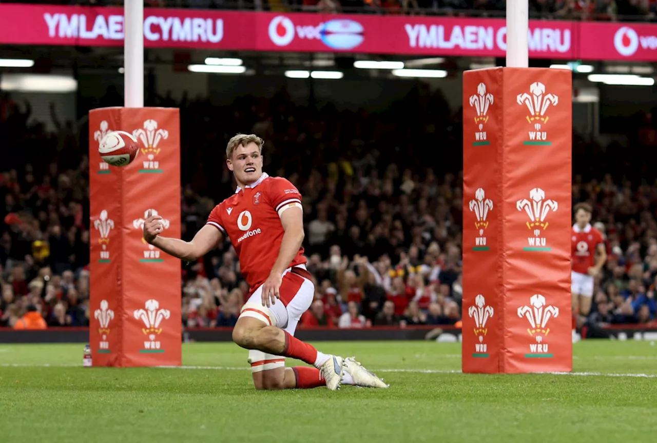 Plumtree: Wales have 'nothing to lose' against Boks