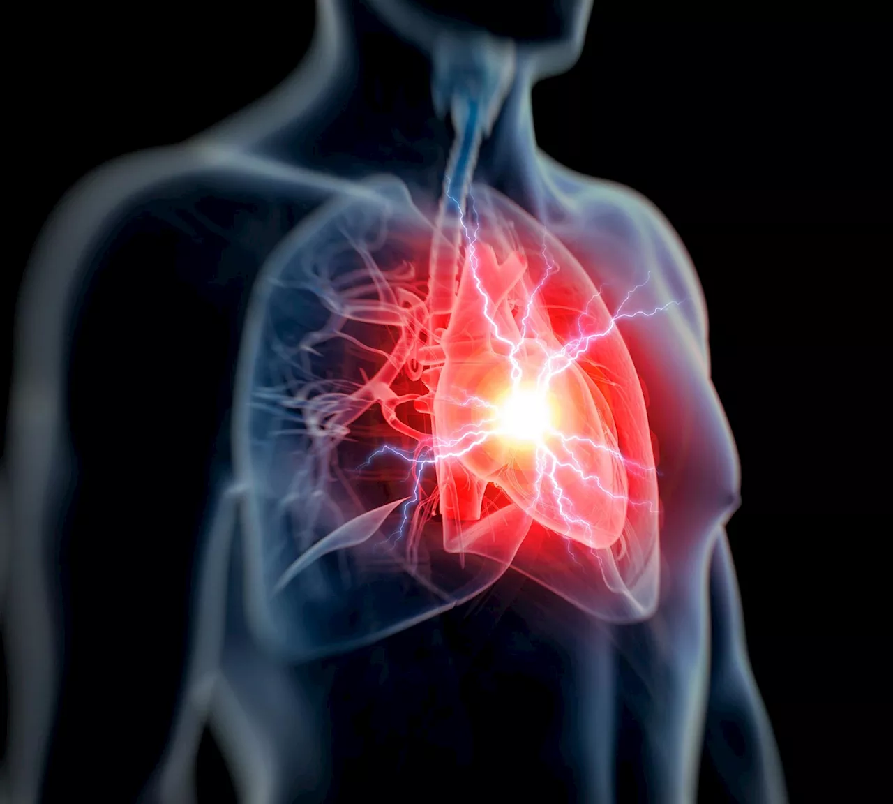 Researchers Uncover Key to Heart Regeneration After Heart Attacks