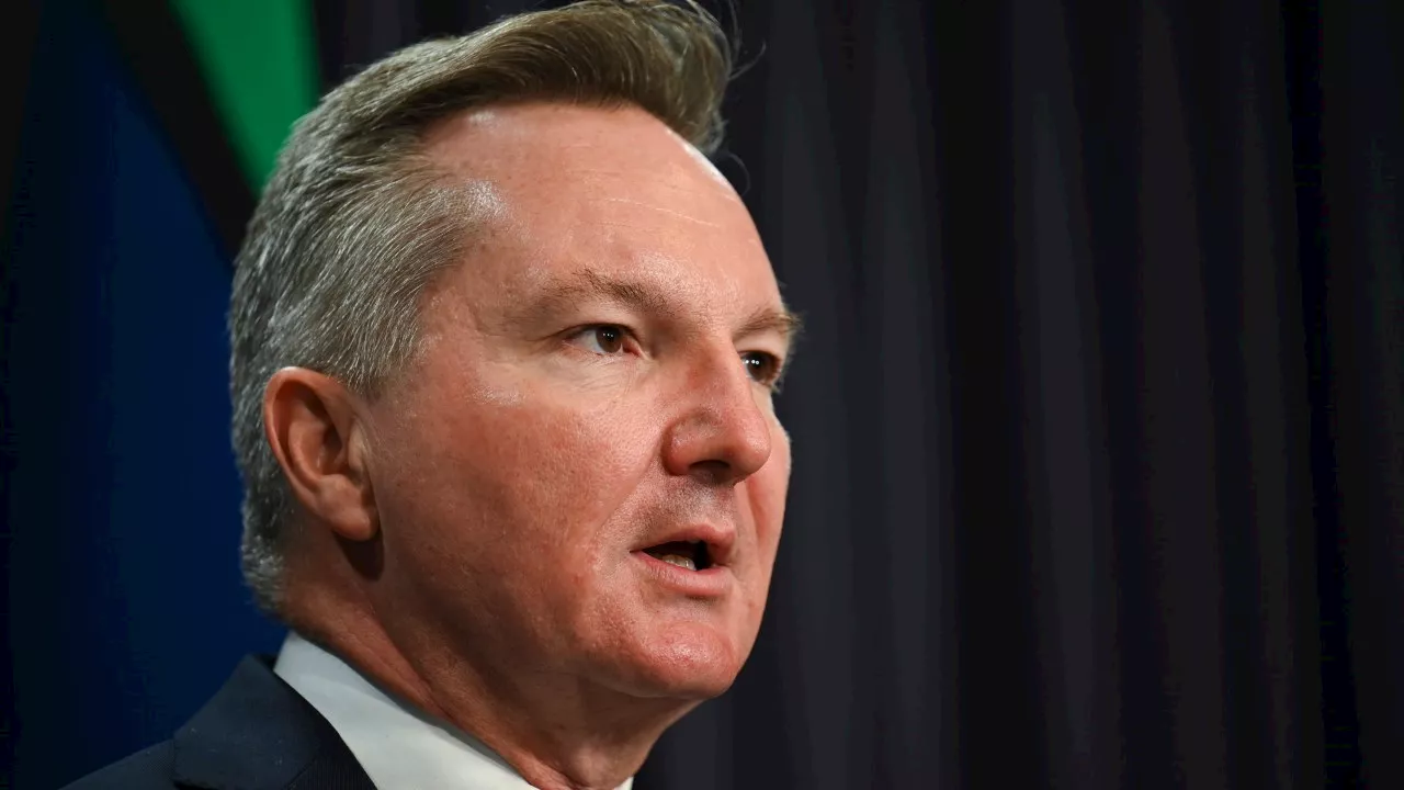 ‘Risky nuclear scam’: Bowen launches attack on Coalition’s energy plan