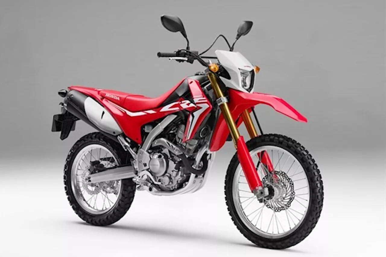 Honda CRF 250 L und CRF 250 Rally