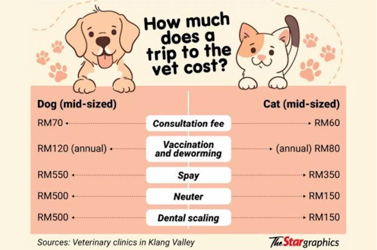 Pet care can go up to thousands of ringgit