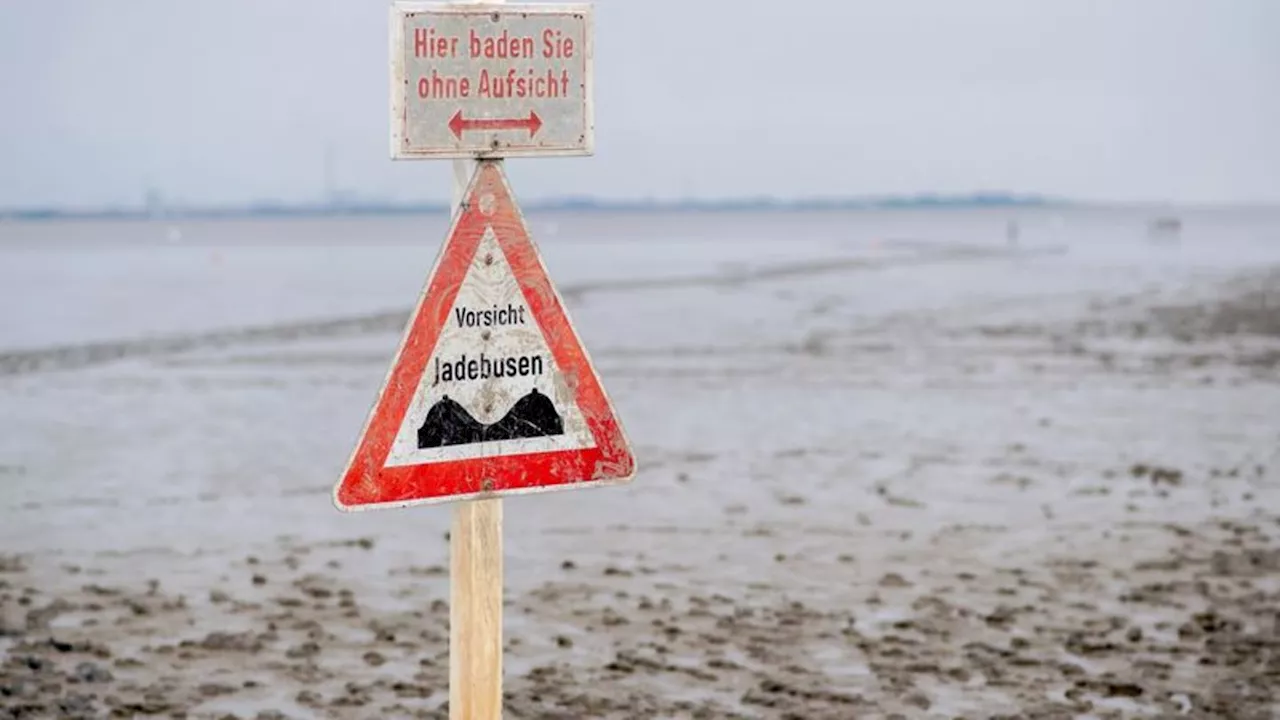 Naturwunder: Wattenmeer seit 15 Jahren Weltnaturerbe