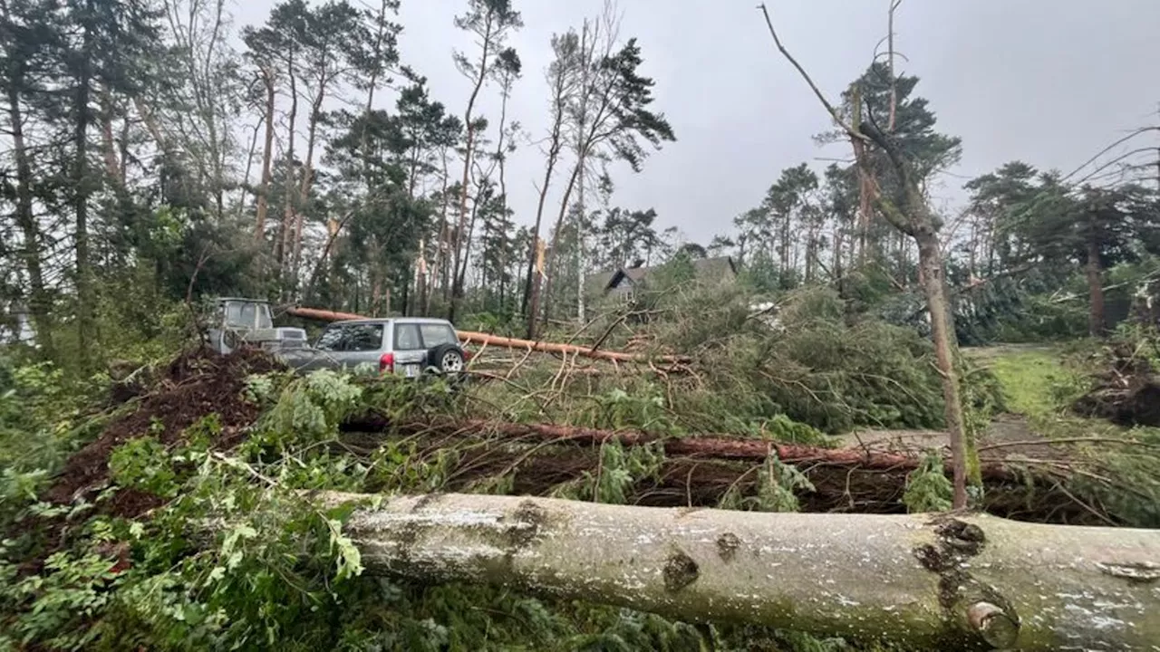 Unwetter: Mann von Baum schwer verletzt - Einige Schäden nach Unwetter