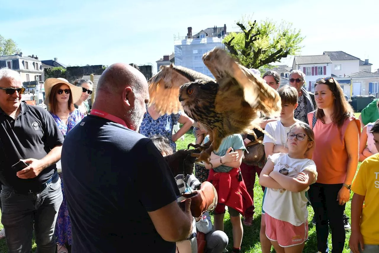 Une mairie de Dordogne met fin aux spectacles avec des animaux sauvages