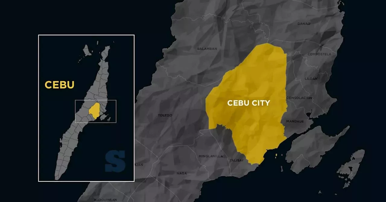 ‘Cebu City parking ordinance, JVA need amendment’ | Philippines | Head ...