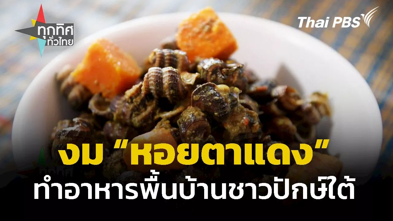  วิถีชุมชนปักษ์ใต้ หา 'หอยตาแดง' ทำอาหารพื้นบ้าน จ.สตูล