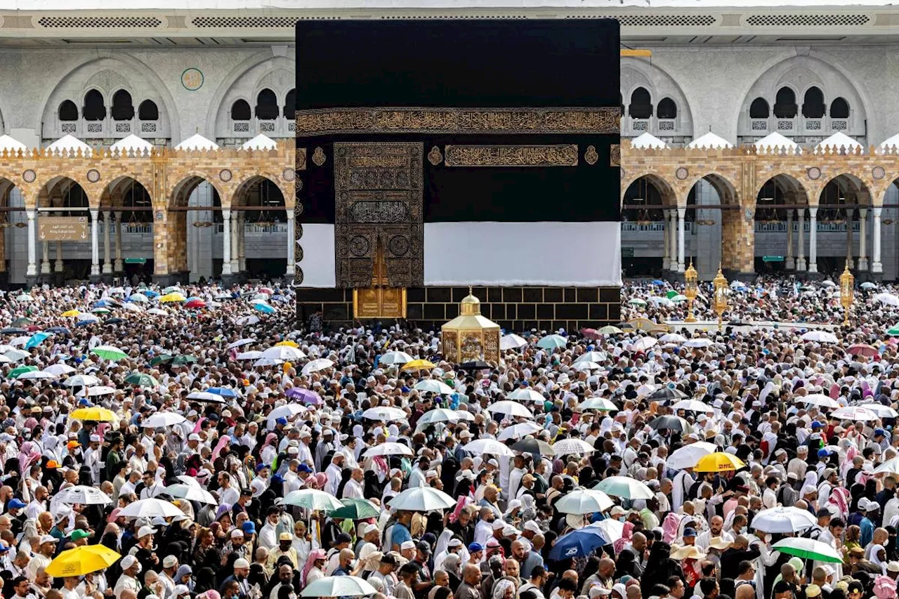 Diplomats say at least 550 pilgrims died during hajj, mostly Egyptians