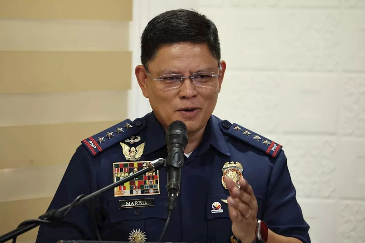 PNP to boost fight vs criminality