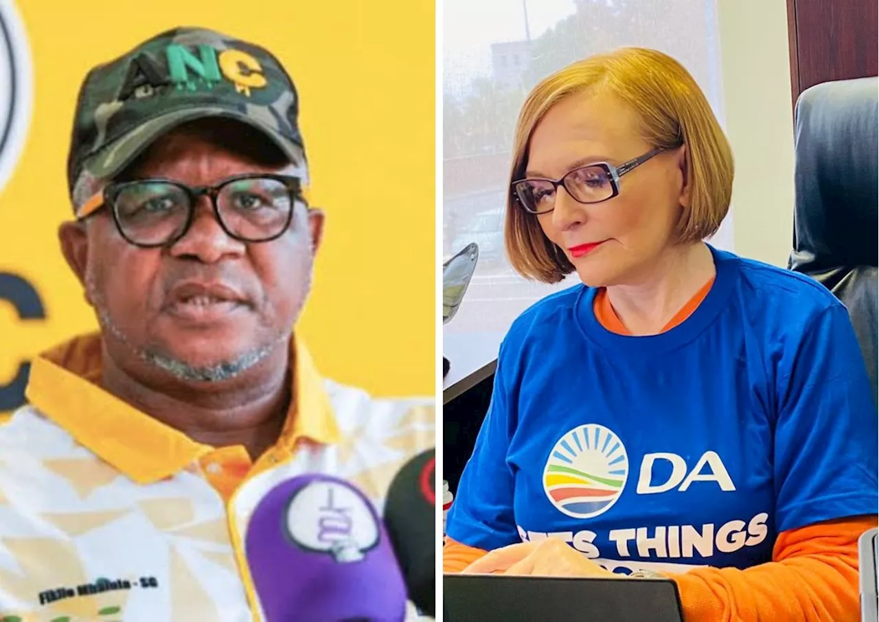 ‘He must read Clause 24’: Helen Zille’s clapback at Fikile has SA amused