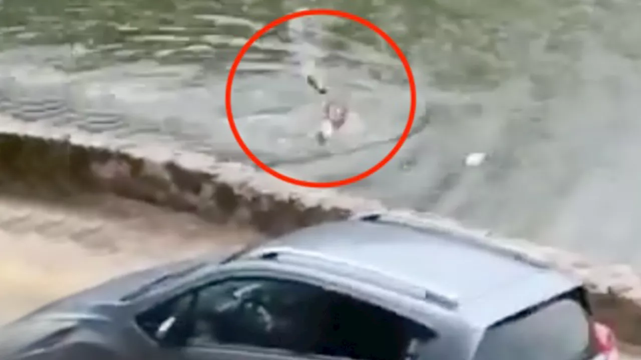 Heart-stopping moment enormous crocodile chases screaming swimmer before he turns to fight beast off to...