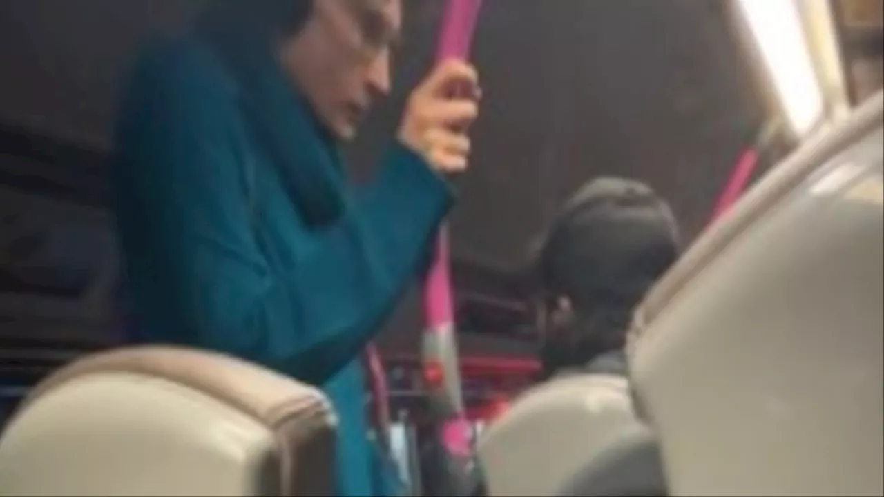 Shocking moment Scots passenger drags man off bus for not paying fare...