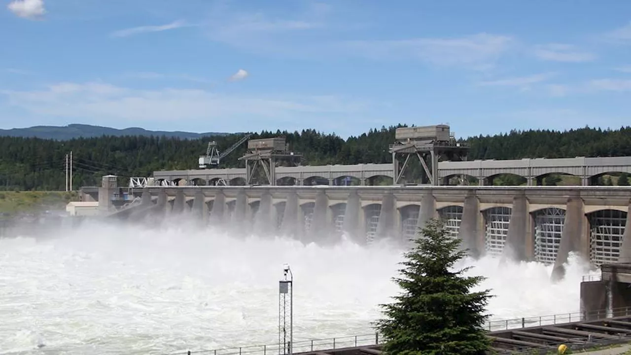 US admits role in devastating Northwest tribes with dams