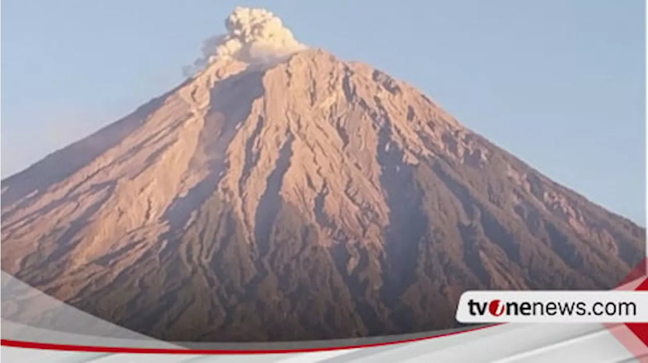 Gunung Semeru Erupsi dengan Tinggi Letusan 600 Meter di Atas Puncak