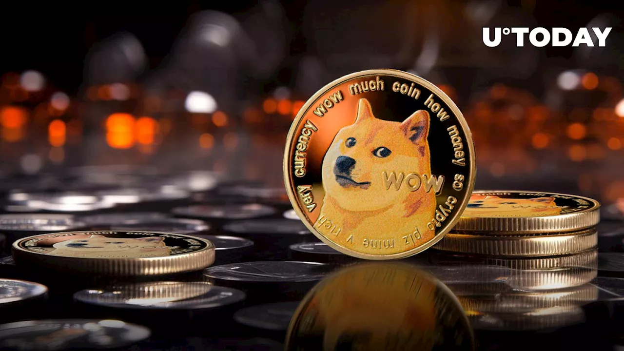 DOGE Creator Stuns Community With Crypto Market State Summary