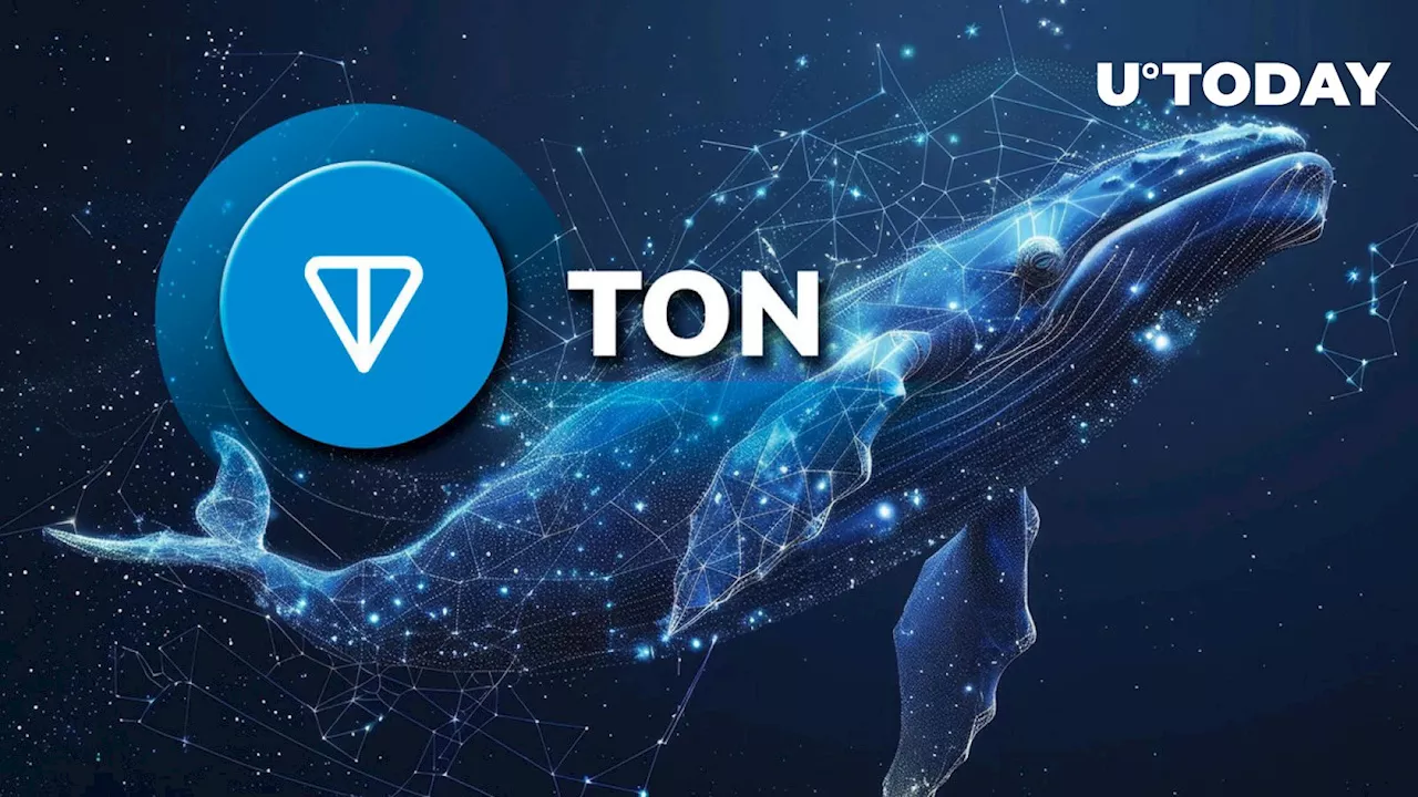 Toncoin (TON) Skyrockets 376% in Whale Activity; What's Going On?