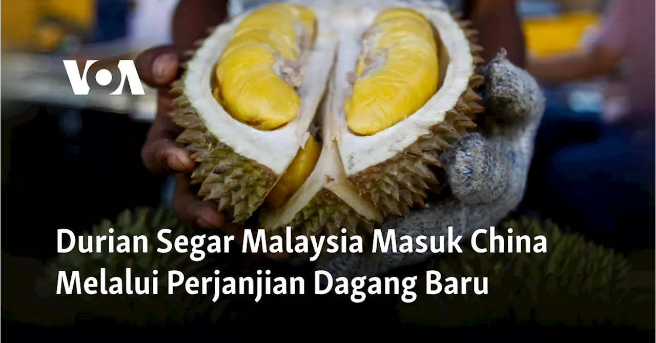 Durian Segar Malaysia Masuk China Melalui Perjanjian Dagang Baru