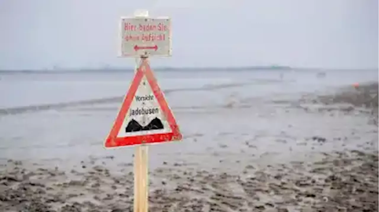 Wattenmeer seit 15 Jahren Weltnaturerbe