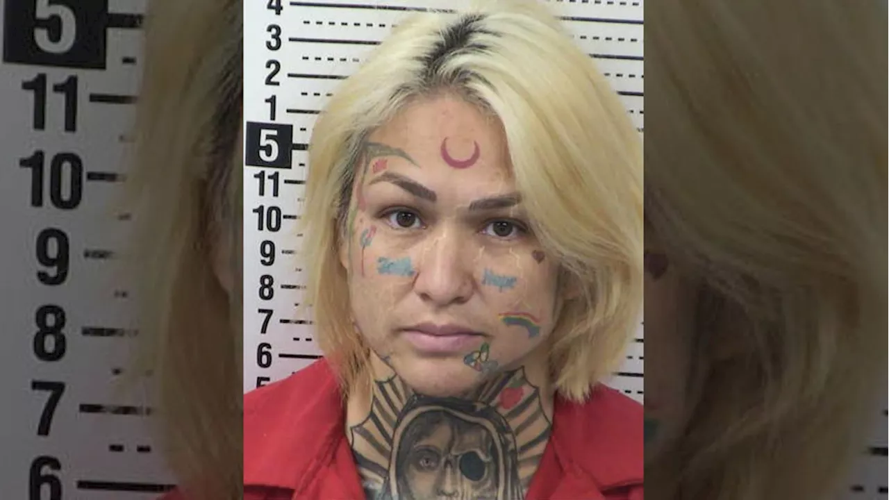 Woman arrested for allegedly ordering kidnapping and cross-border murder plot