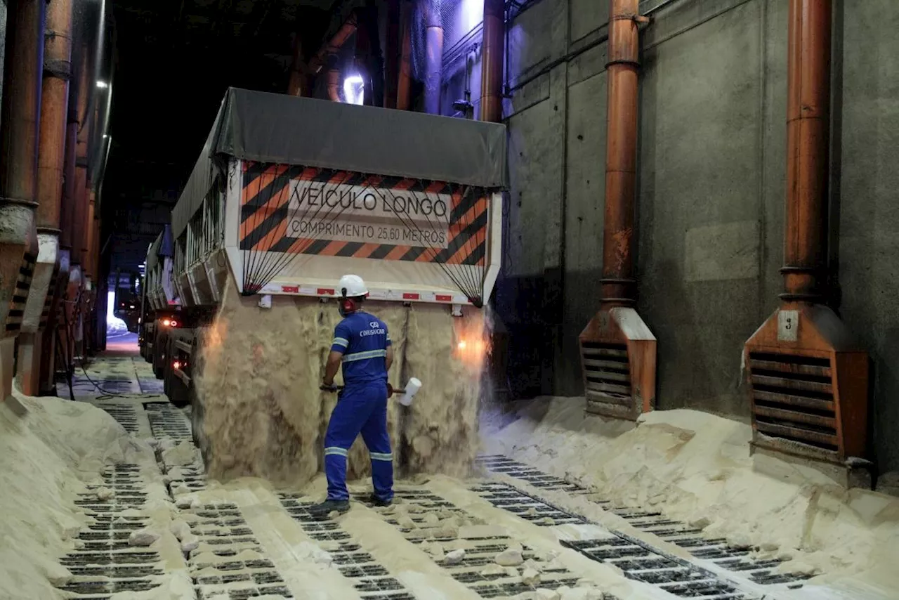 Sugar Giant Expects Brazil’s Harvest to Improve After Slow Start