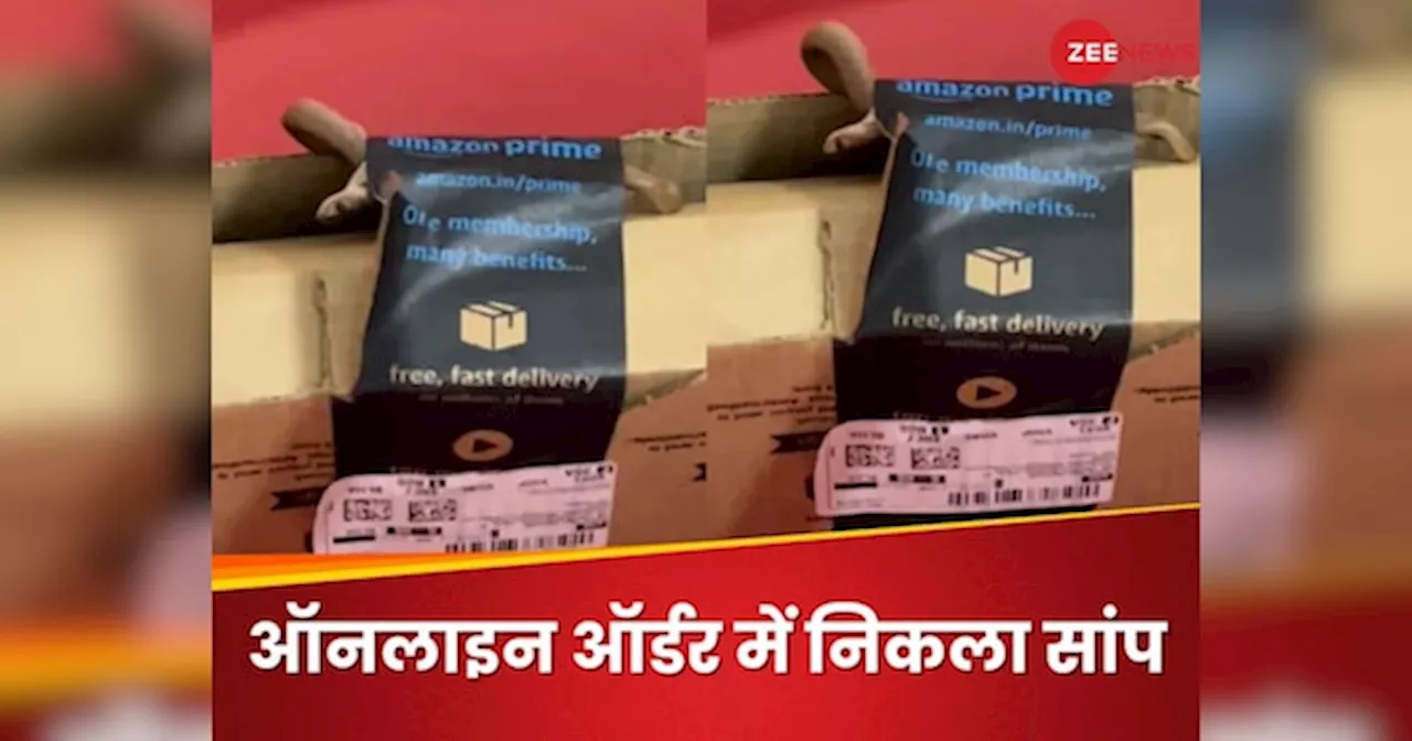 बचाओ, बचाओ... ऑनलाइन मंगवाया गेमिंग कंट्रोलर, जैसे ही खोला तो निकला अंदर से COBRA सांप