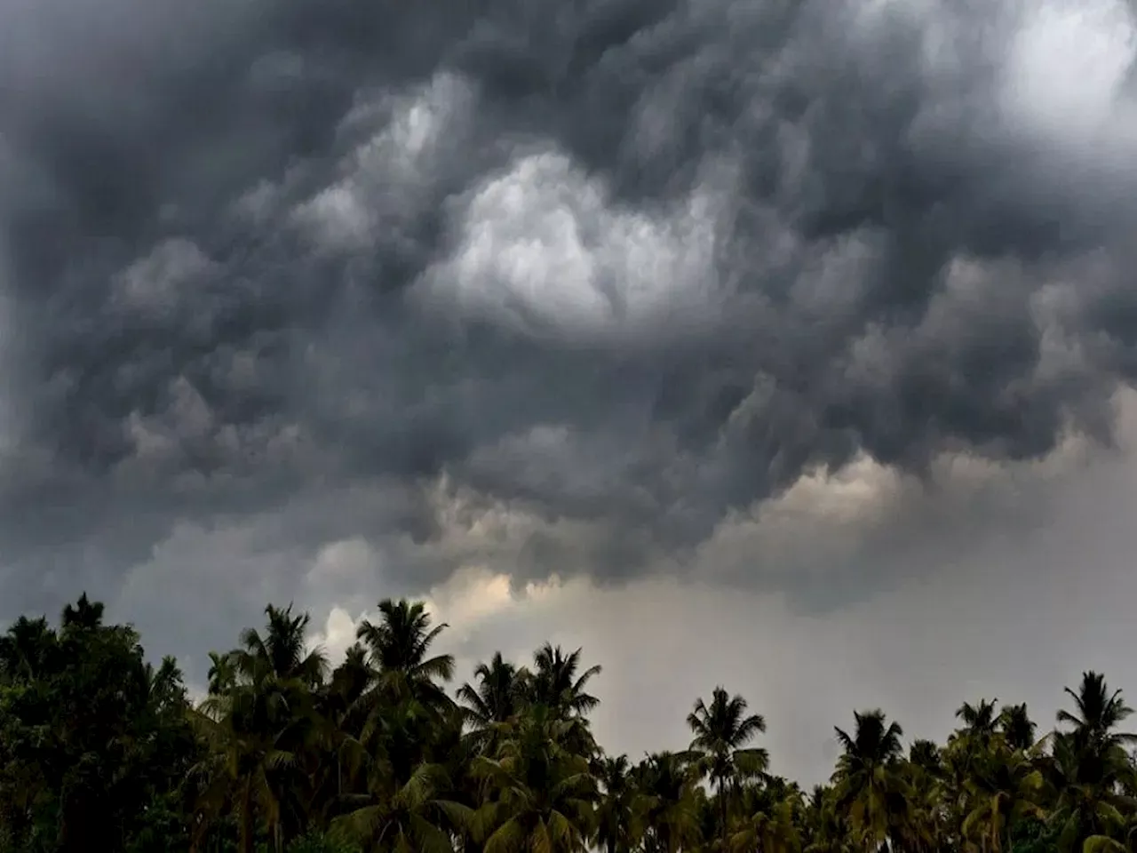 Maharashtra Weather News : किमान दिलासा! मुंबईसह उपनगरात पावसाची संततधार; कोकणात मुसळधार पावसाचा इशारा