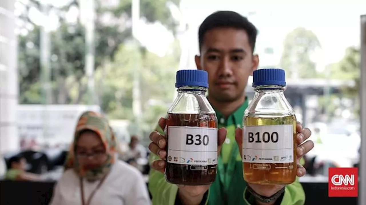 Uni Eropa Selidiki Impor Biodiesel RI Buntut Kecurangan Bea Masuk