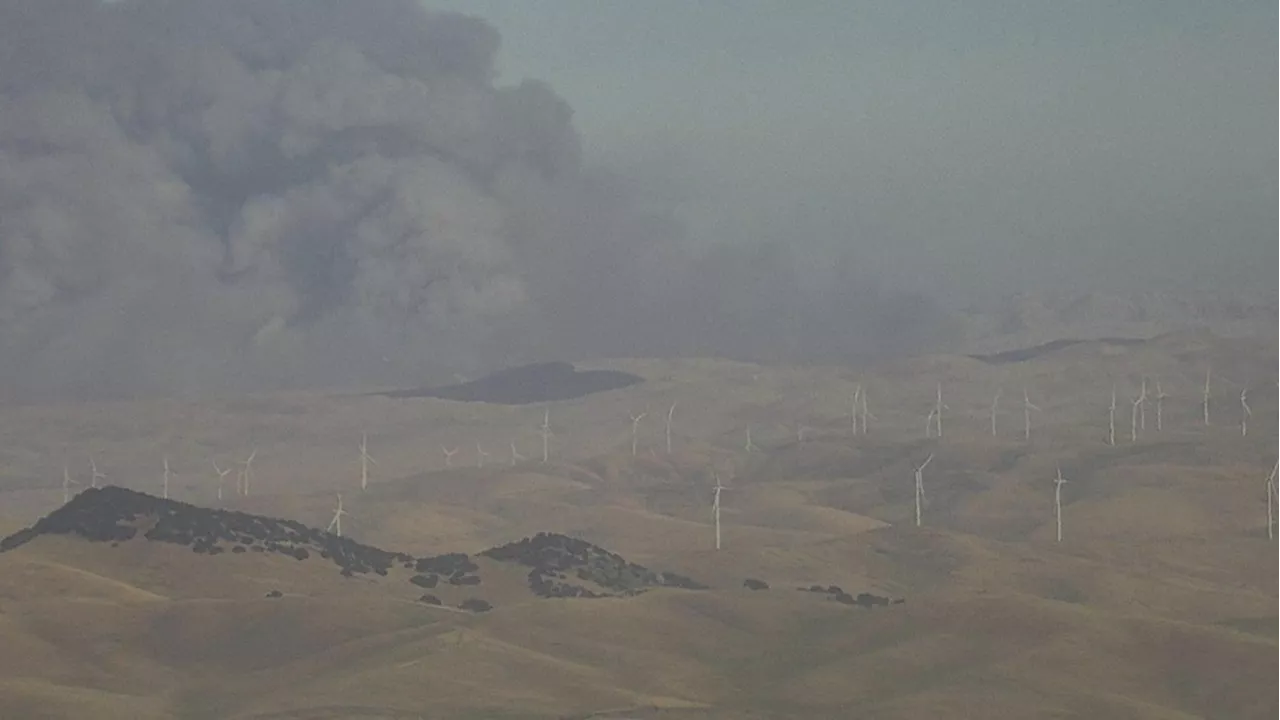 California firefighters battle wind-driven wildfire east of San Francisco overnight