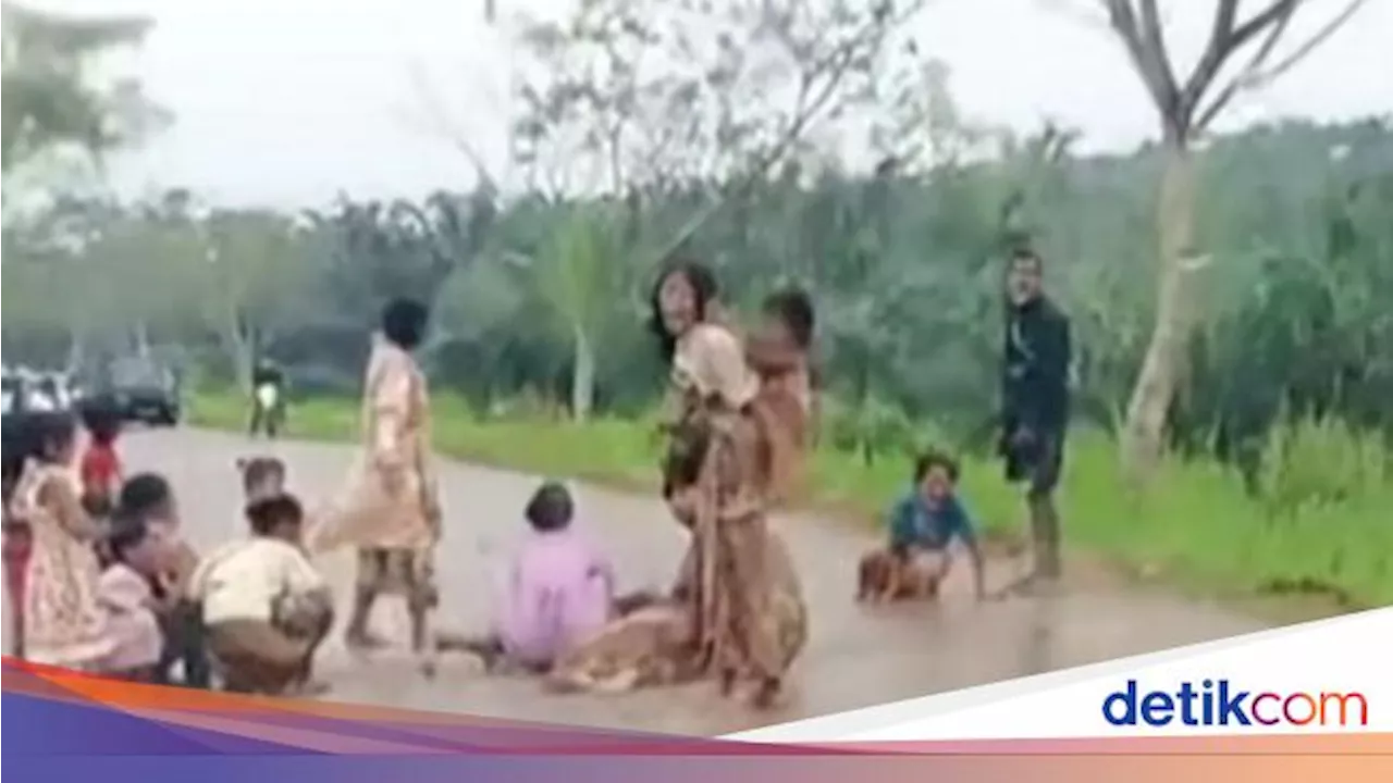 Suku Anak Dalam Blokir Jalan Pintas di Jambi, Ini Penyebabnya