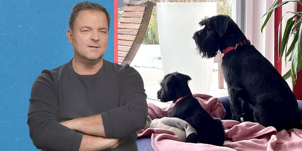 Hunde-Experte in RTL-Show perplex: „Das ist kein Hund, das ist ein Hauskrokodil“