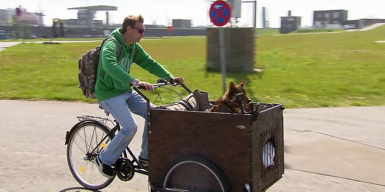 In RTL2-Doku feiert Stephan seine Obdachlosigkeit: Keine Nachbarn, einfach Ruhe