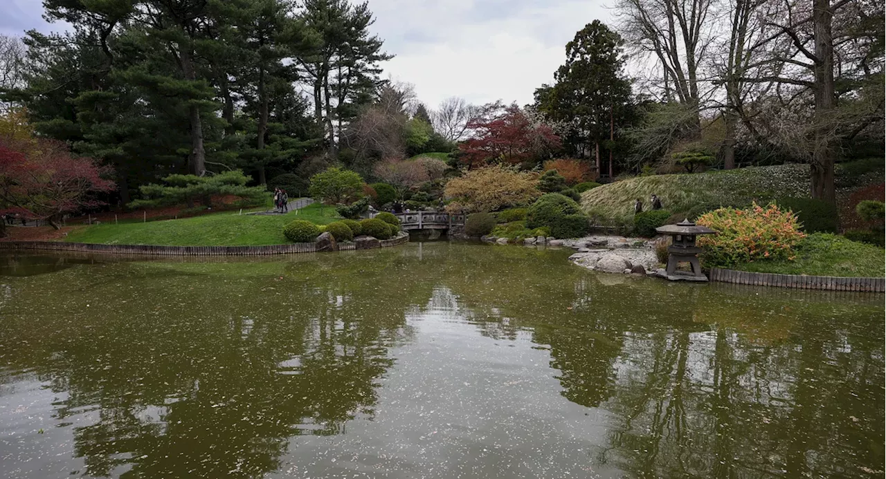 New fight blooms over proposed tower next to Brooklyn Botanic Garden