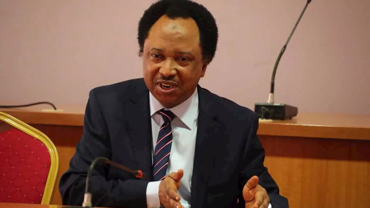 Autonomy only way to save LGs from paralysis— Shehu Sani