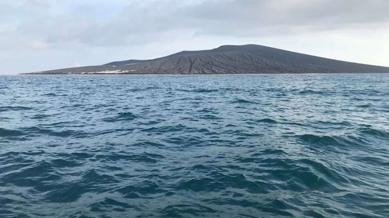 Gunung Anak Krakatau Waspada, Aktivitas Menurun