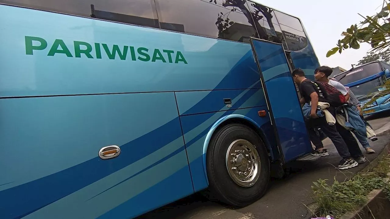 School holidays are getting closer, how do you choose the right tourist bus?