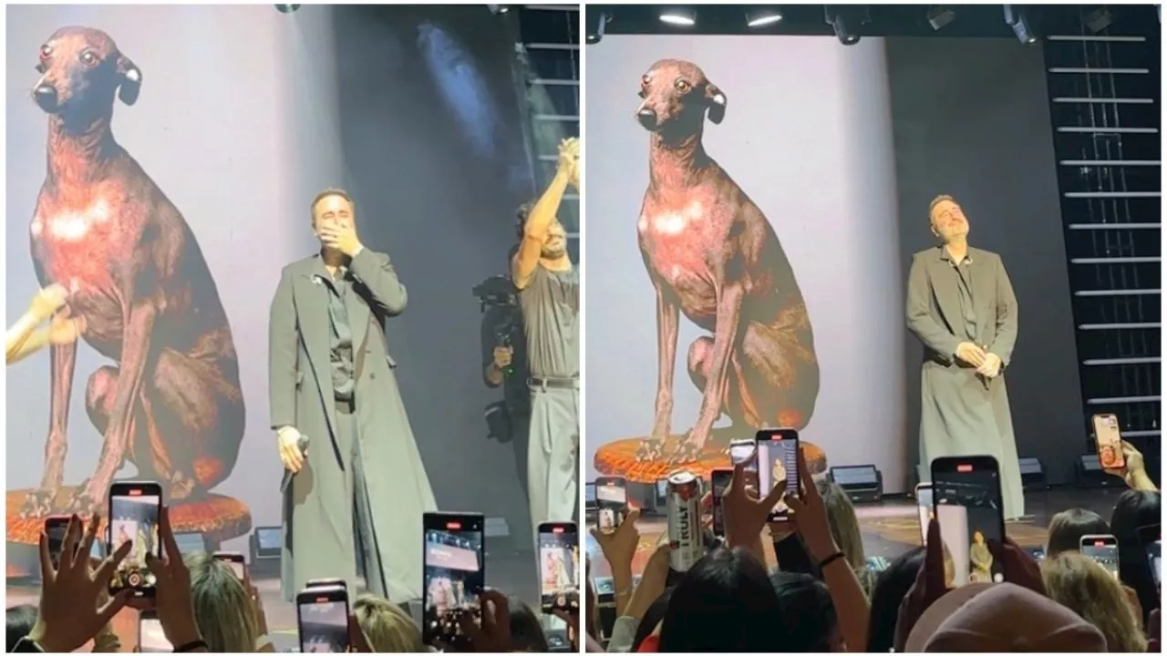 Muere el perrito de Jesús Navarro y Reik sorprende al cantante con homenaje a &quot;Bowie&quot; en el escenario: VIDEO