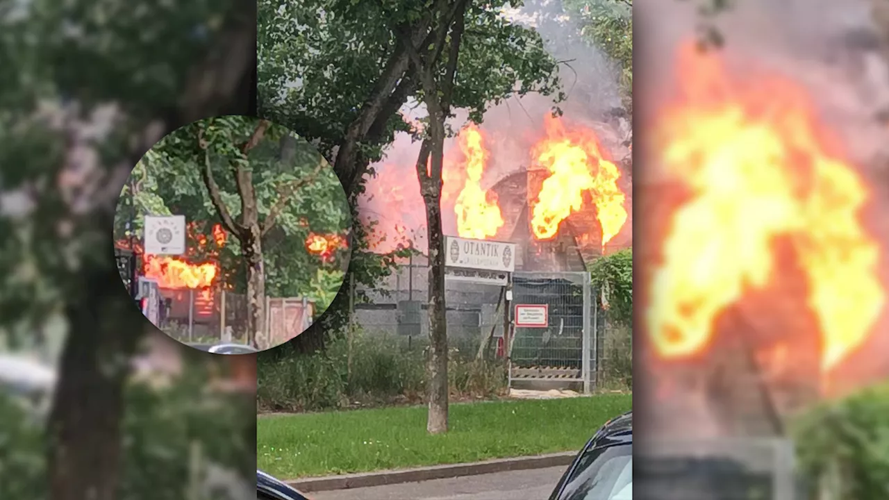 Feuer-Inferno in Wien – Großeinsatz läuft