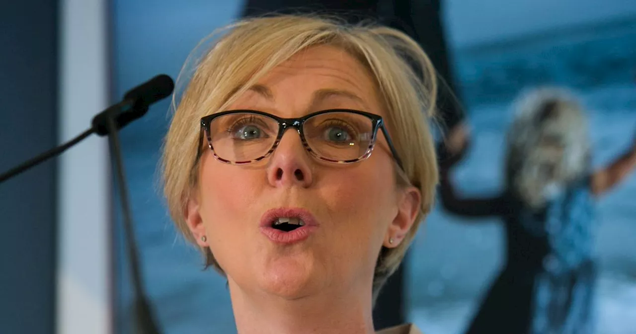 'More reinventions than Madonna' - Regina Doherty attacks Sinn Féin record