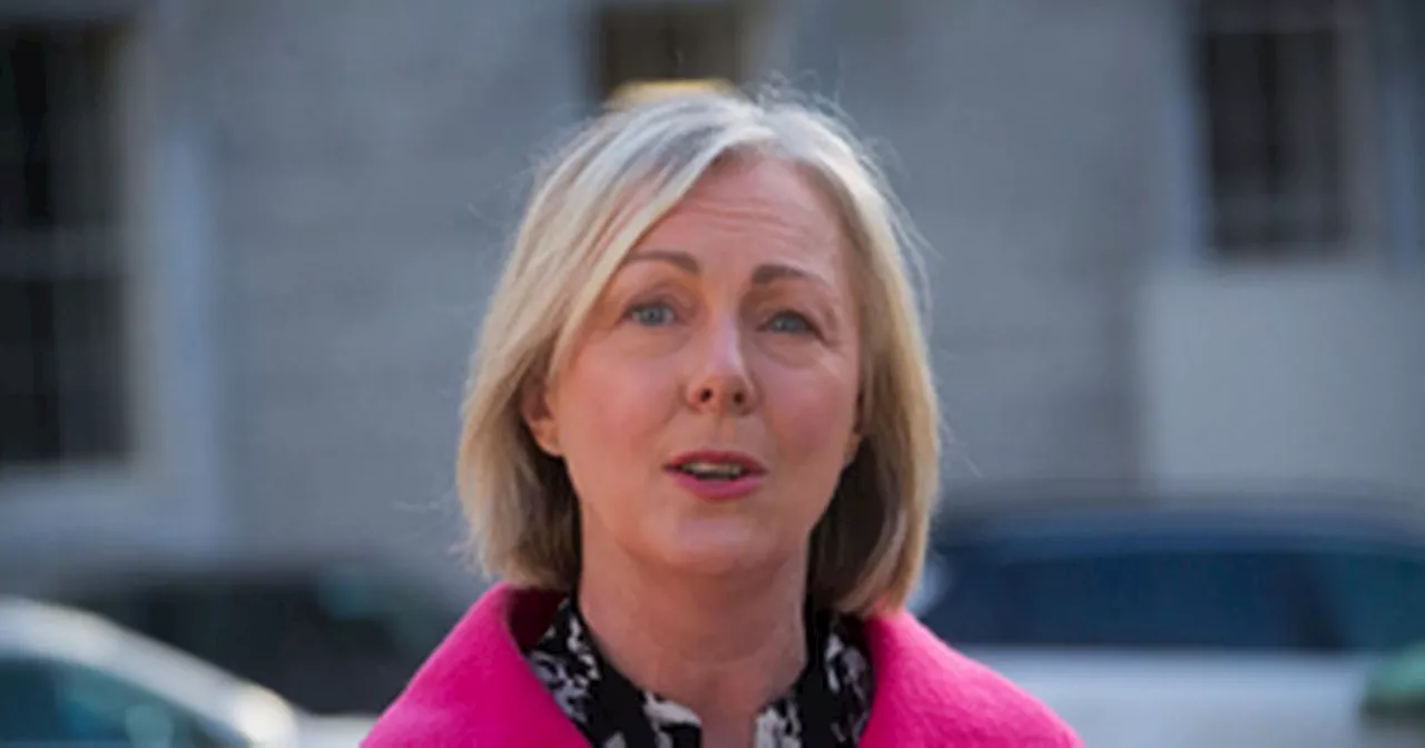 Regina Doherty: 'Mood is changing' around immigration thanks to Simon Harris