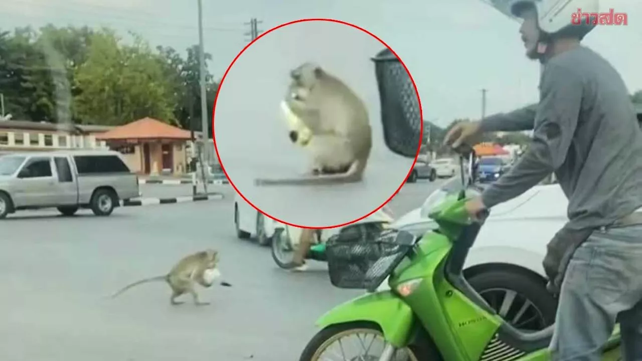 ข่าวสด