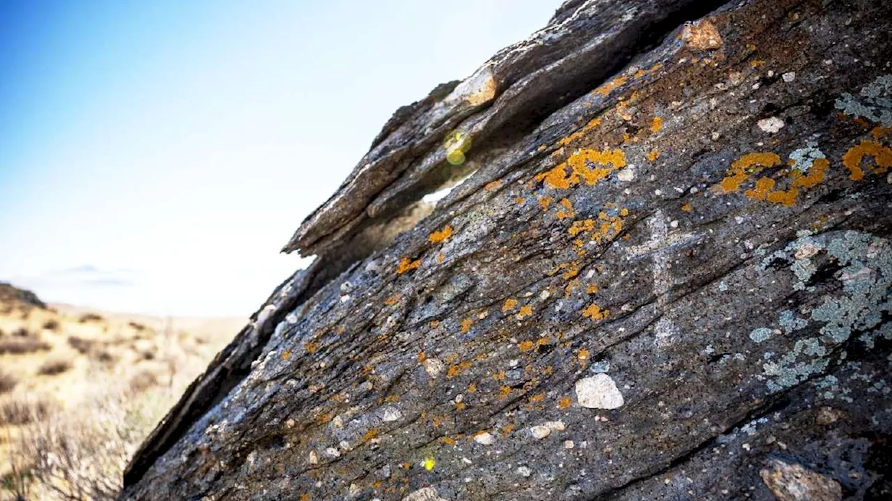 Why this explorer's carving on a Great Salt Lake island rock is now on a historic register