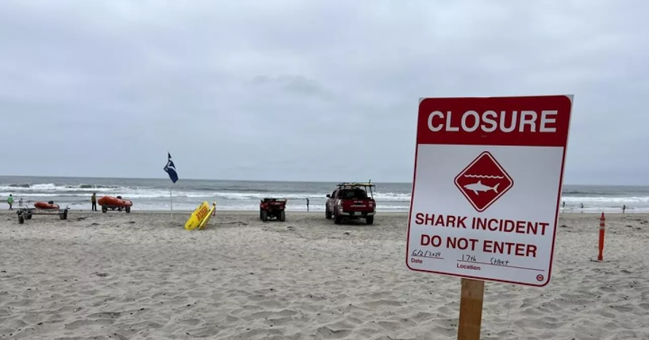 Shark bites swimmer in torso in attack causing significant injuries; Del Mar beach shut down