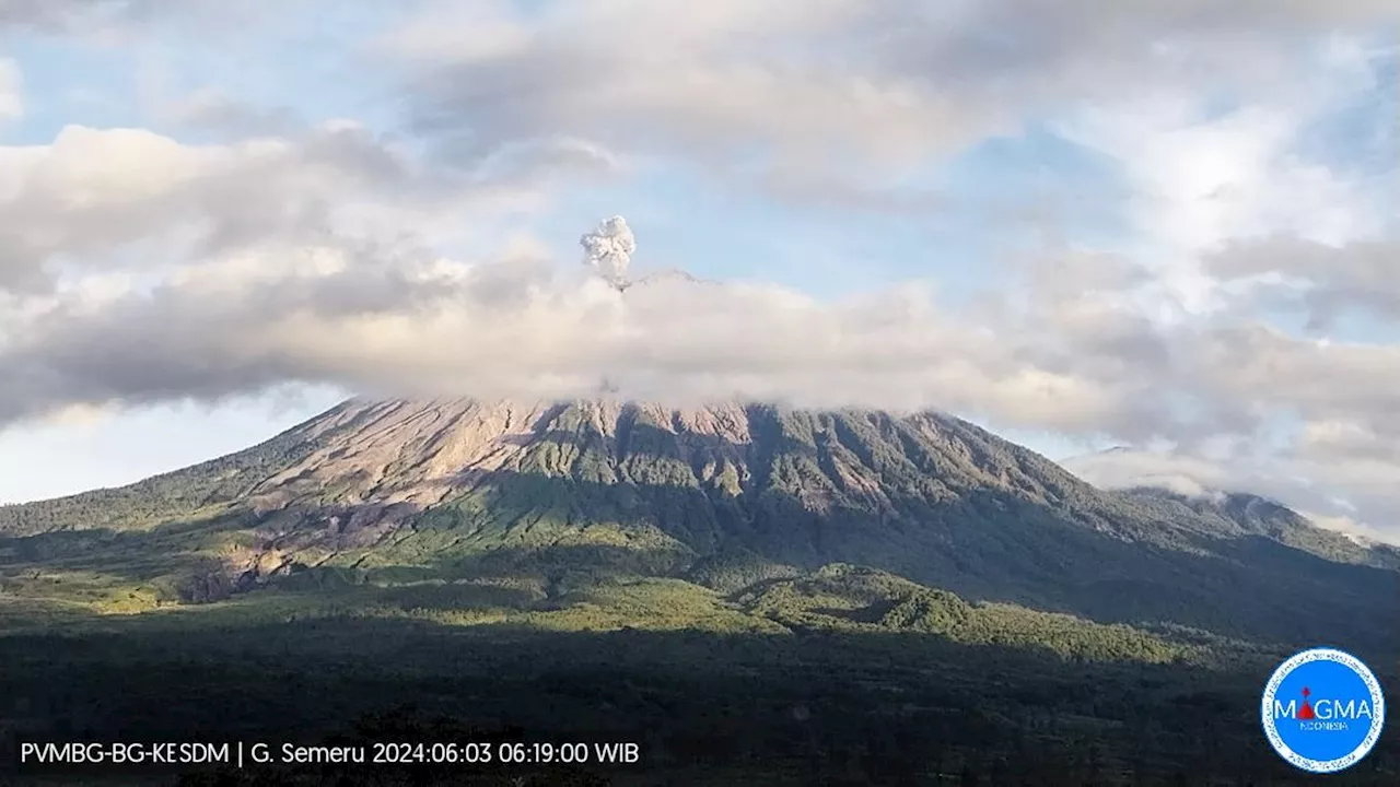 Gunung Semeru Erupsi Senin Pagi 3 Juni 2024, Tinggi Kolom Abu Capai 800 Meter