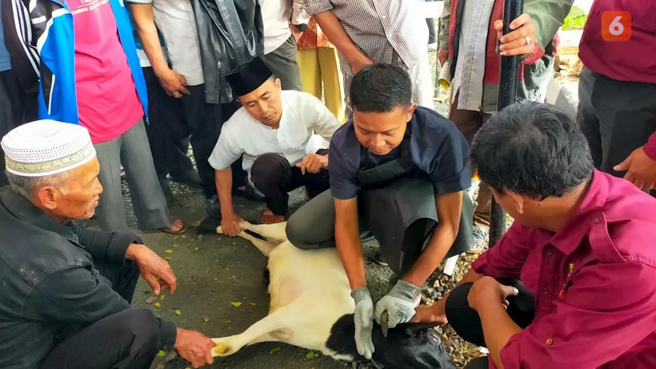 Pelatihan Penyembelihan Hewan Kurban di Sukabumi, MUI Sampaikan Tata Cara yang Baik Sesuai Syariat