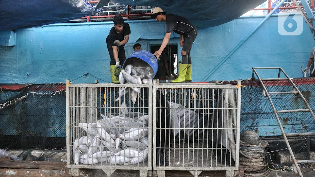 Peluncuran Percontohan Penangkapan Ikan Terukur Pakai Koneksi Starlink dari Telkomsat