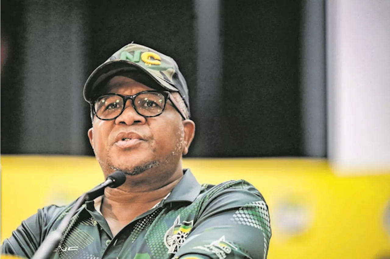 Mbalula : Zuma party, service delivery collapse and low turnout cost the ANC its majority