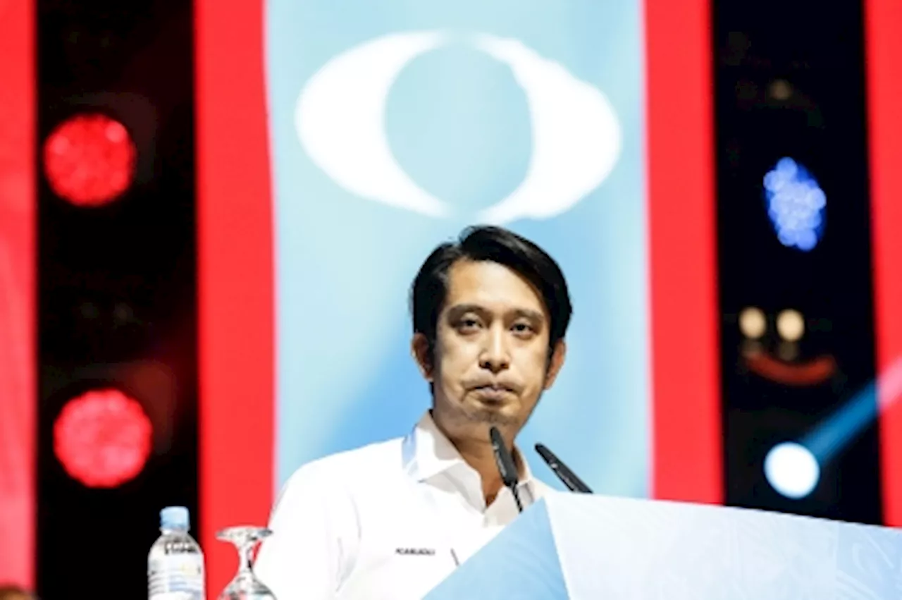 Adam Adli hopes PKR Youth candidate chosen to contest Sungai Bakap by-election