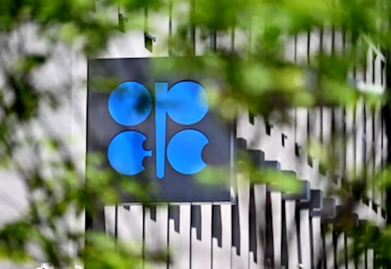 Opec+ seen prolonging oil cuts in 2024 and into 2025, two sources say